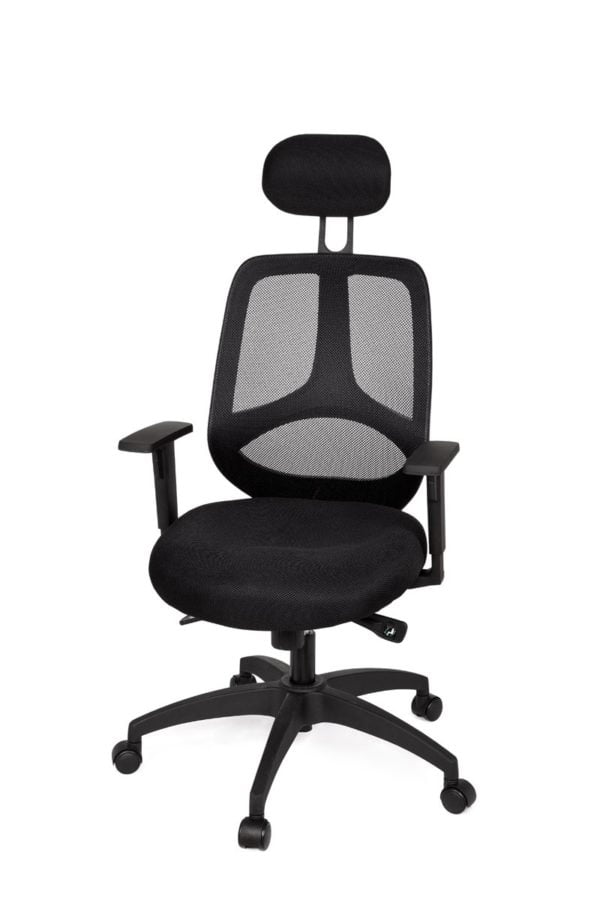 Office Desk Ergonomic Chair Florence Deluxe Black Executive 18995 002