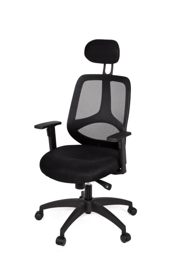 Office Desk Ergonomic Chair Florence Deluxe Black Executive 18995 003