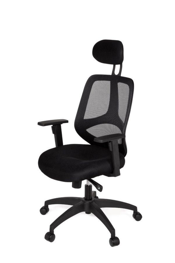 Office Desk Ergonomic Chair Florence Deluxe Black Executive 18995 004