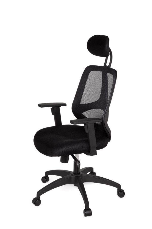 Office Desk Ergonomic Chair Florence Deluxe Black Executive 18995 005