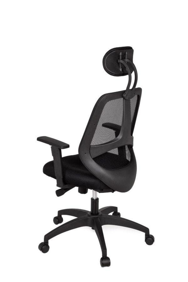 Office Desk Ergonomic Chair Florence Deluxe Black Executive 18995 010