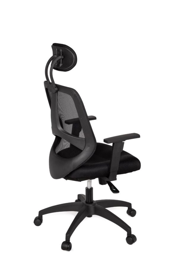 Office Desk Ergonomic Chair Florence Deluxe Black Executive 18995 017