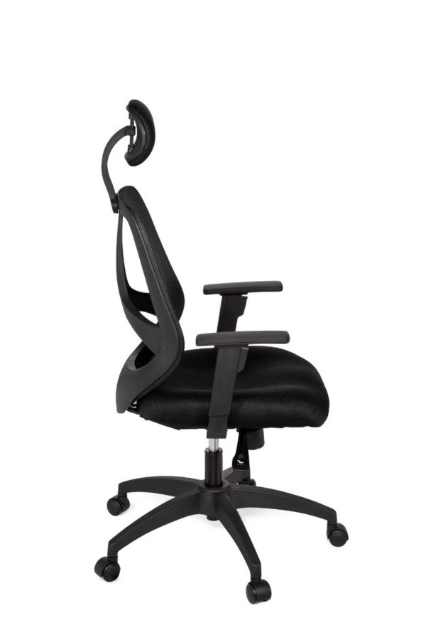 Office Desk Ergonomic Chair Florence Deluxe Black Executive 18995 019