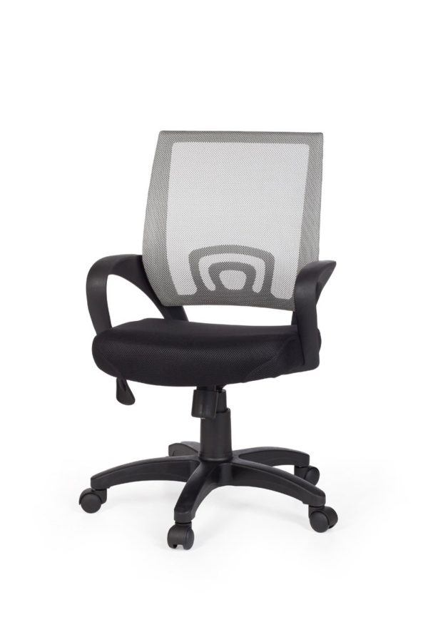 Office Ergonomic Chair Rivoli Gray Desk Chair With Armrests Office Chair Youth Chair 8650 002