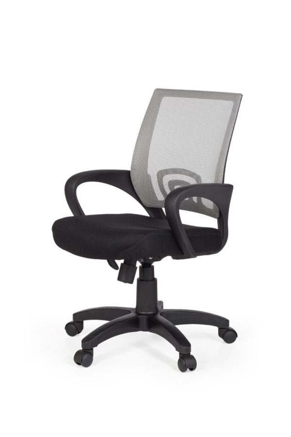 Office Ergonomic Chair Rivoli Gray Desk Chair With Armrests Office Chair Youth Chair 8650 004
