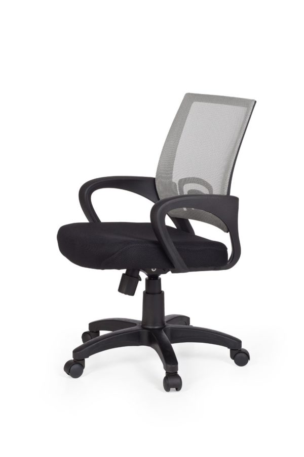 Office Ergonomic Chair Rivoli Gray Desk Chair With Armrests Office Chair Youth Chair 8650 005