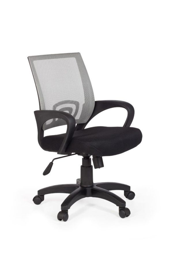 Office Ergonomic Chair Rivoli Gray Desk Chair With Armrests Office Chair Youth Chair 8650 022