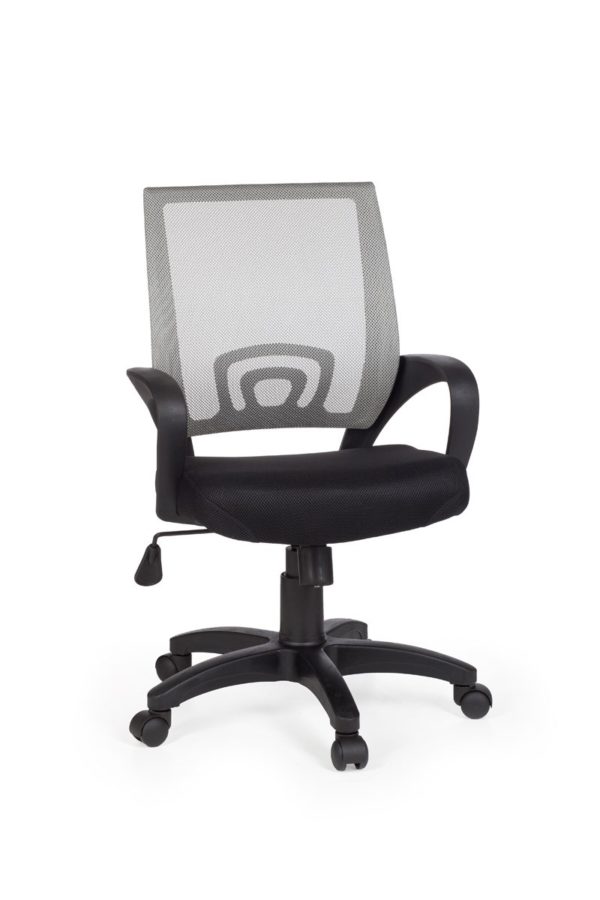 Office Ergonomic Chair Rivoli Gray Desk Chair With Armrests Office Chair Youth Chair 8650 024